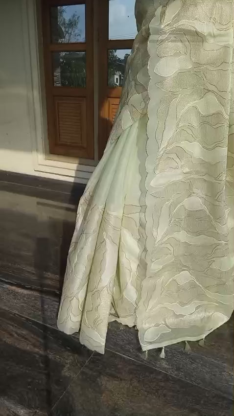 Exclusive light green Turkish organza type premium saree